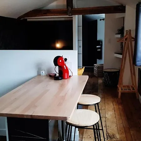 Apartment Chaleureux En Hyper Centre