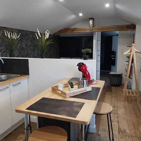 Apartment Chaleureux En Hyper Centre *