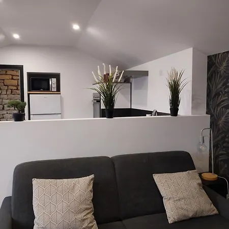 Apartment Chaleureux En Hyper Centre *