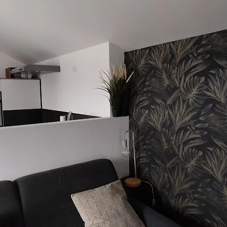 Chaleureux En Hyper Centre * Charleville-Mezieres