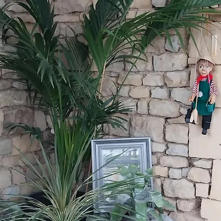 Chaleureux En Hyper Centre *