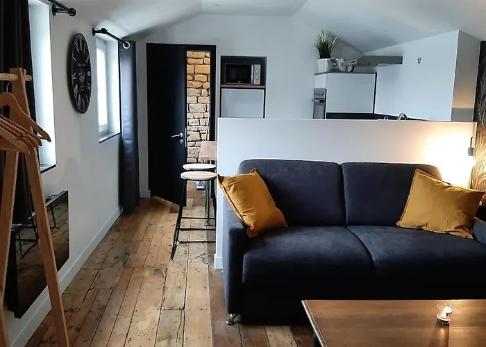 Chaleureux En Hyper Centre Apartment