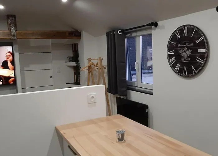 Apartment Chaleureux En Hyper Centre *