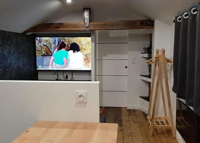 Apartment Chaleureux En Hyper Centre