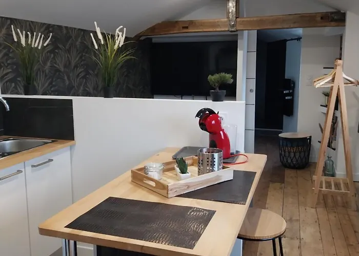 Apartment Chaleureux En Hyper Centre *