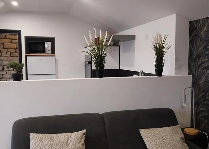 Apartment Chaleureux En Hyper Centre *